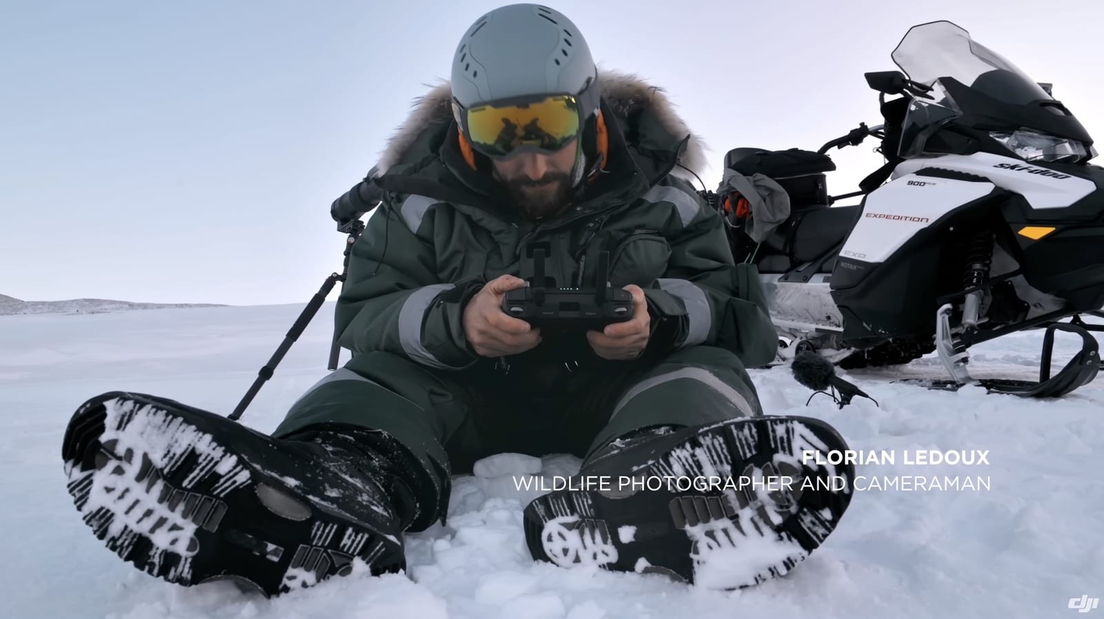Overhead perspective of Arctic wildlife made possible by Ledoux's drone work.