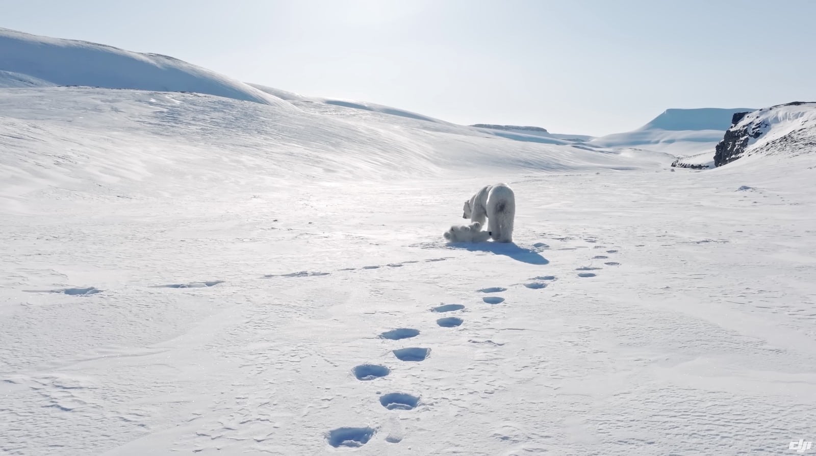 Arctic landscape from Ledoux's work on the region's fragility and resilience.