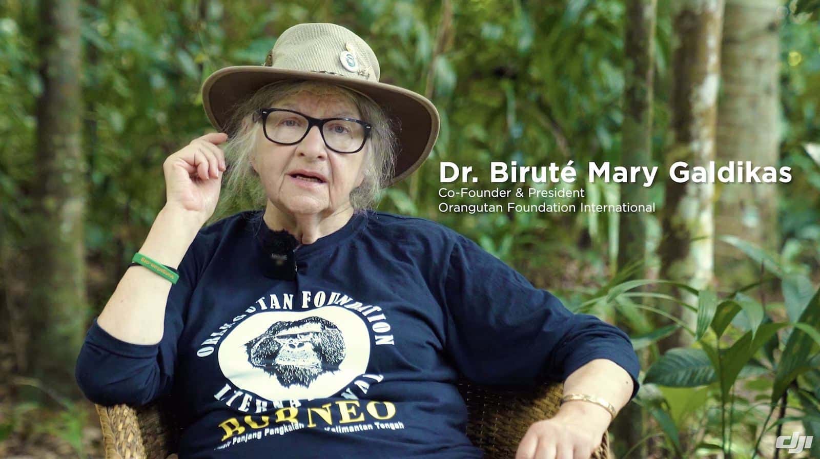 Dr. Birute Mary Galdikas of Orangutan Foundation International, who has studied orangutans for decades.