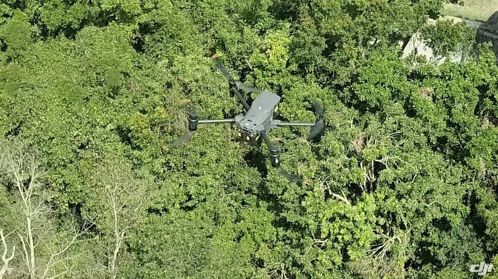 DJI M30 lifting off above the Bornean rainforest to begin an orangutan survey.