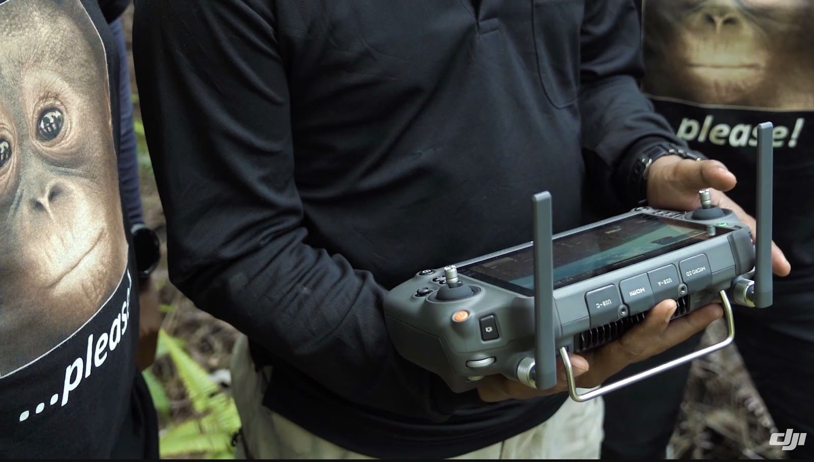 Scene from Tanjung Puting National Park in the DJI conservation video.