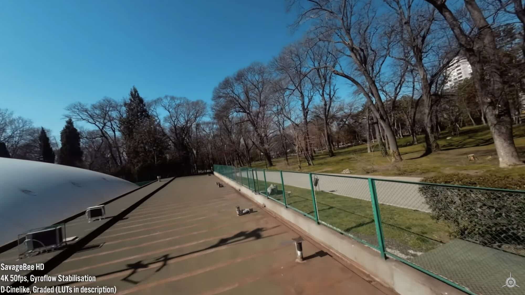 SavageBee HD in flight, quick through tight gaps on 2.5-inch props and a 2S battery.