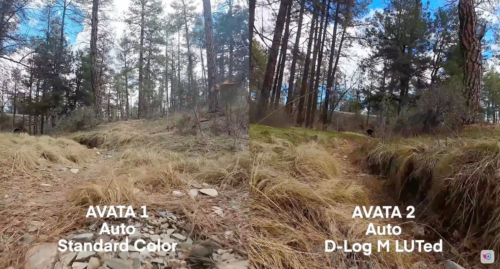 Frame from the image quality comparison against GoPro, Insta360 and Avata 1.