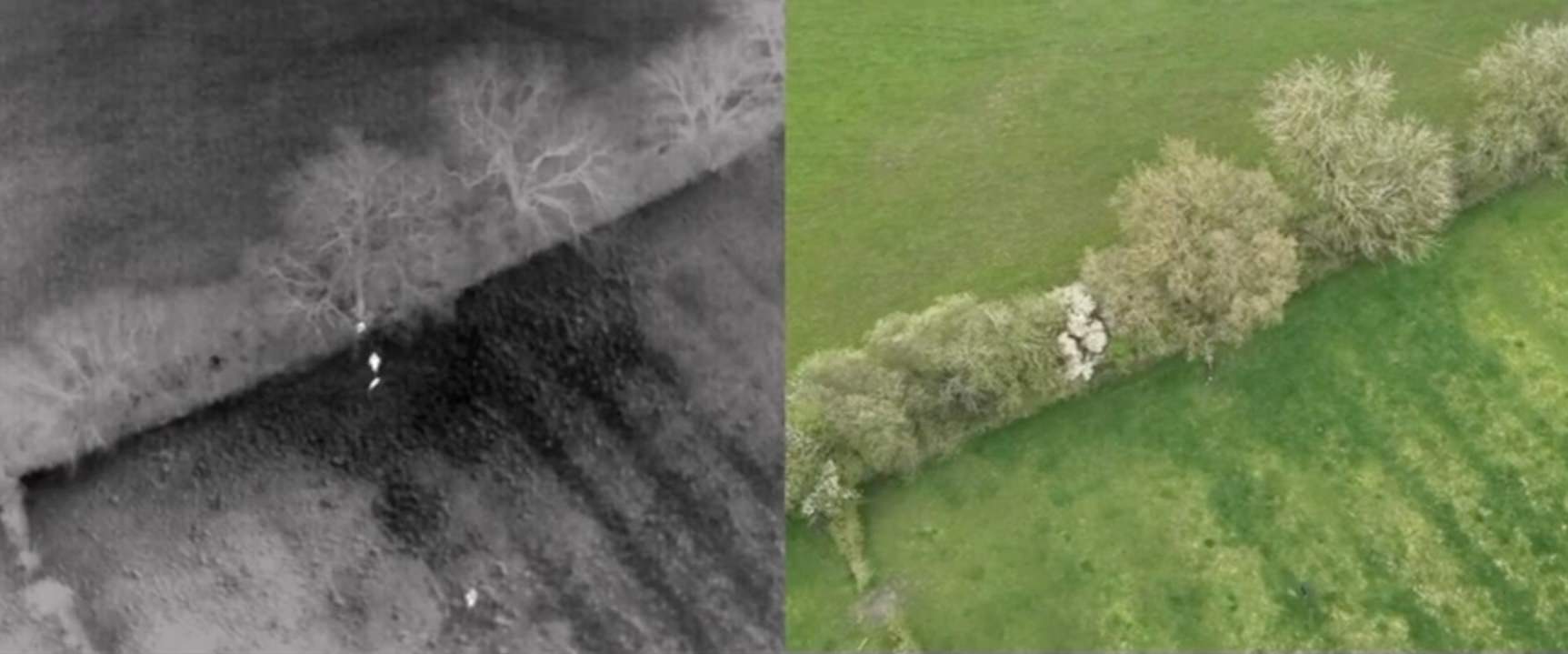 Thermal Drone Quickly Locates Missing Cocker Spaniels in Inkberrow