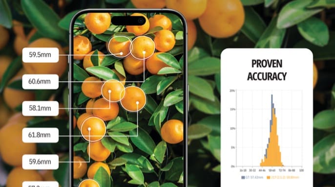 Aerobotics drone imagery of an orchard processed by the company's AI models.