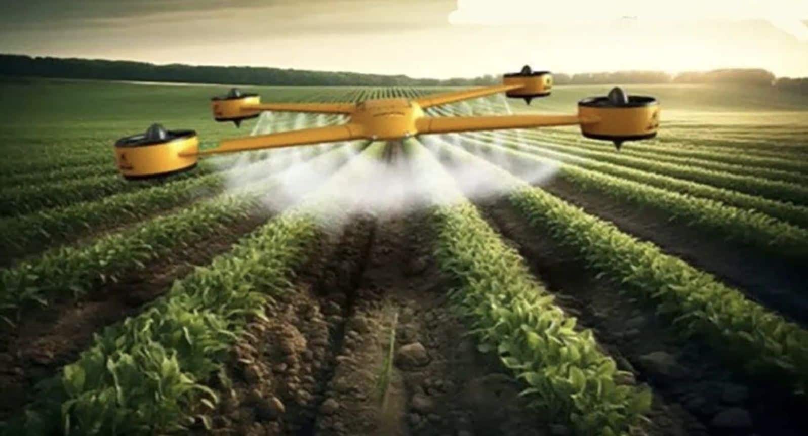 Yellow Agrobee spray drone misting long crop rows at sunrise.