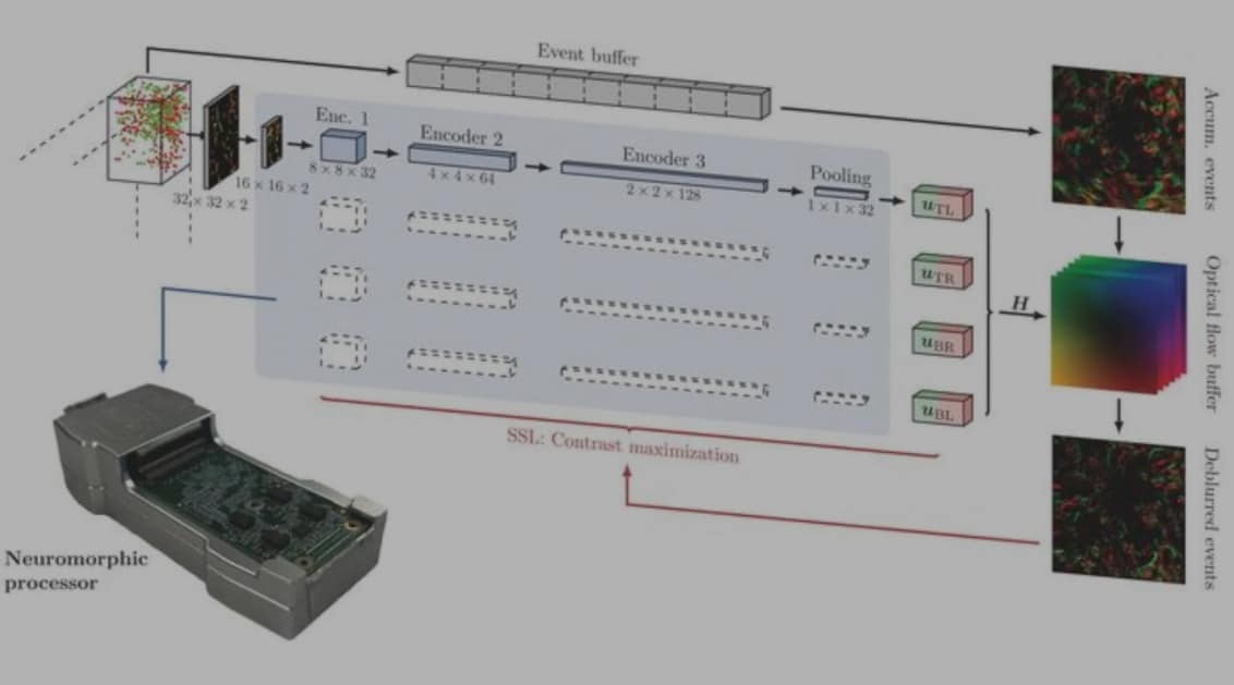 Overview of the spiking neural network.
