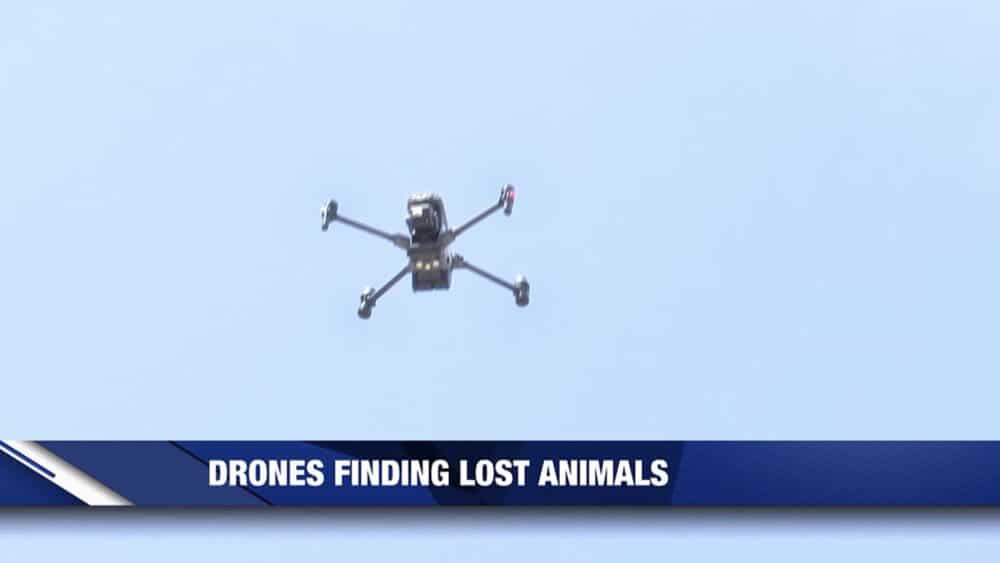 Enterprise quadcopter climbing into a pale blue sky during the animal search.