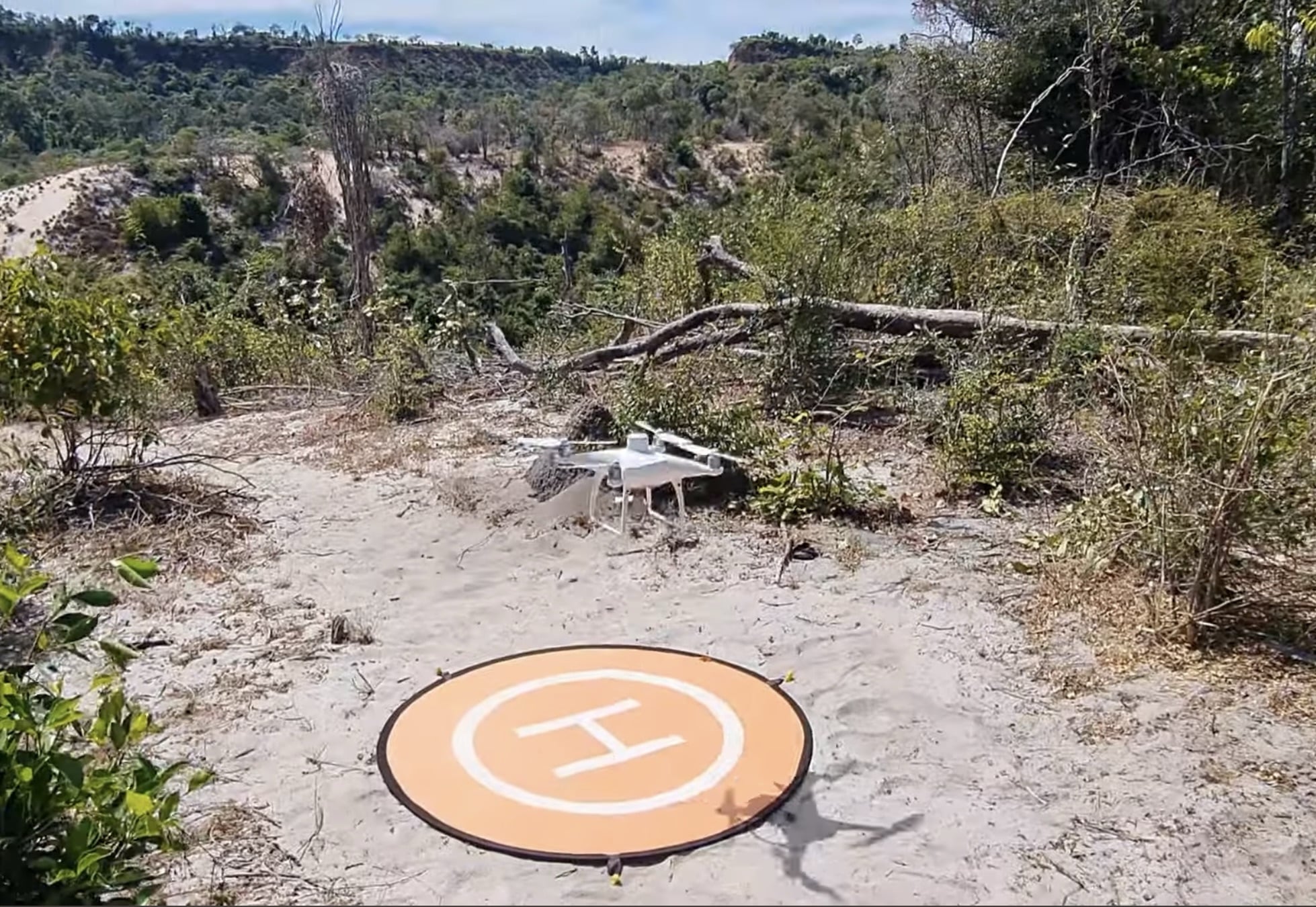 White quadcopter parked beside an orange landing pad on cleared, felled forest ground.