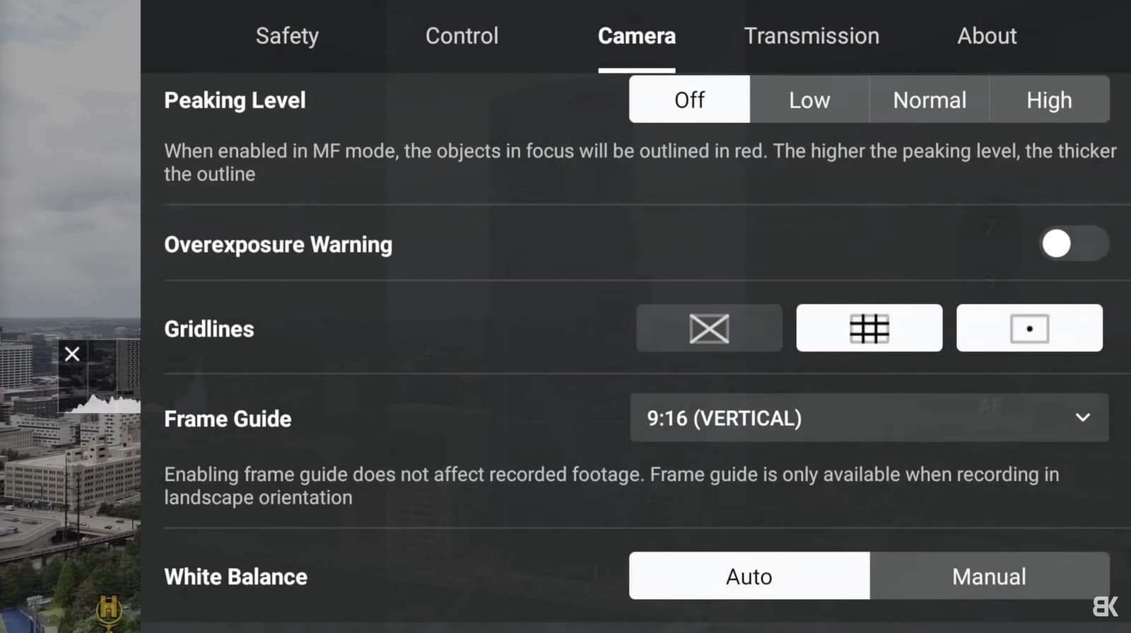 Screenshot of the DJI Fly camera menu with the frame guide set to vertical.