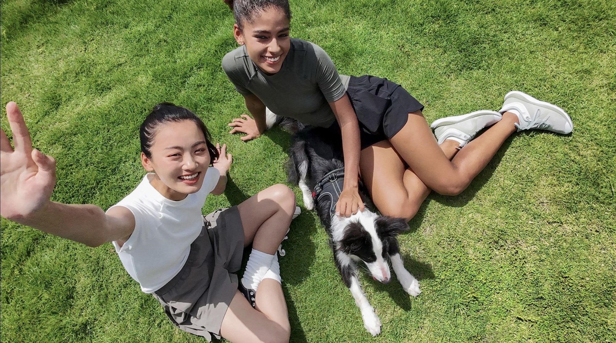 Overhead Neo shot of two friends waving on the grass with a border collie.