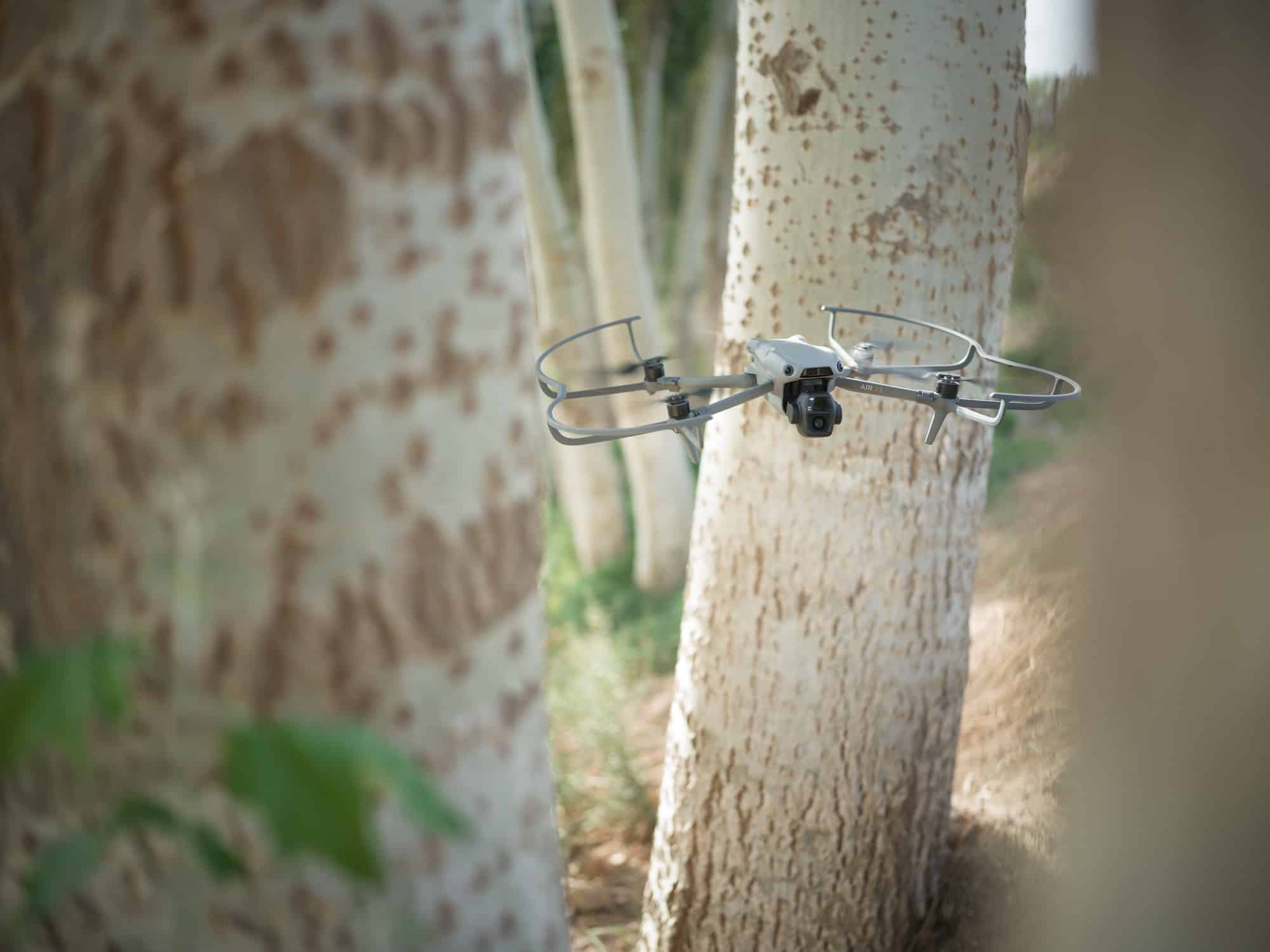 Air 3S with propeller guards fitted hovers between two mottled tree trunks.