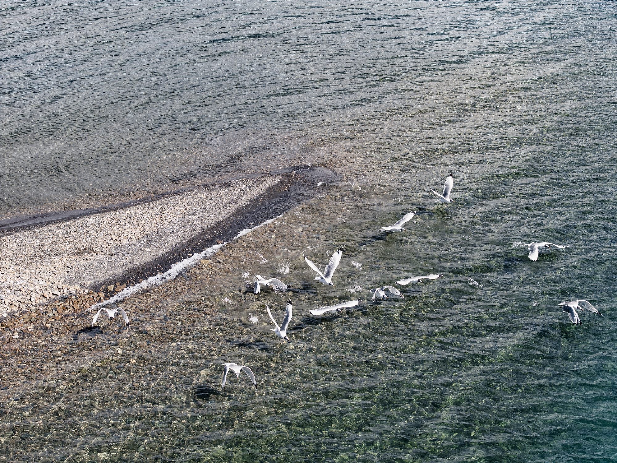 Shot on DJI Air 3S: 70 mm jpg