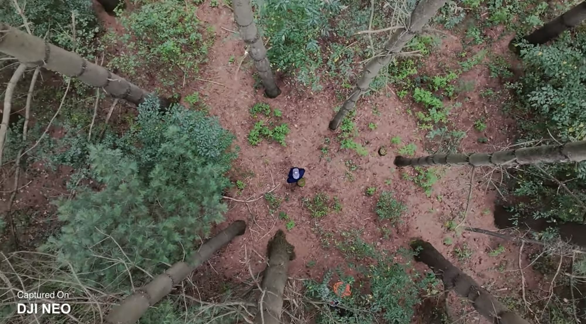 Aerial landscape footage captured on the DJI Neo.