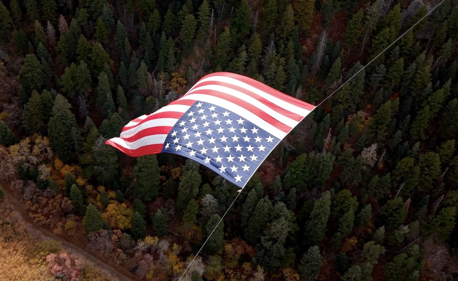 Overhead view of the flag stretched on its cable above dense evergreen forest.