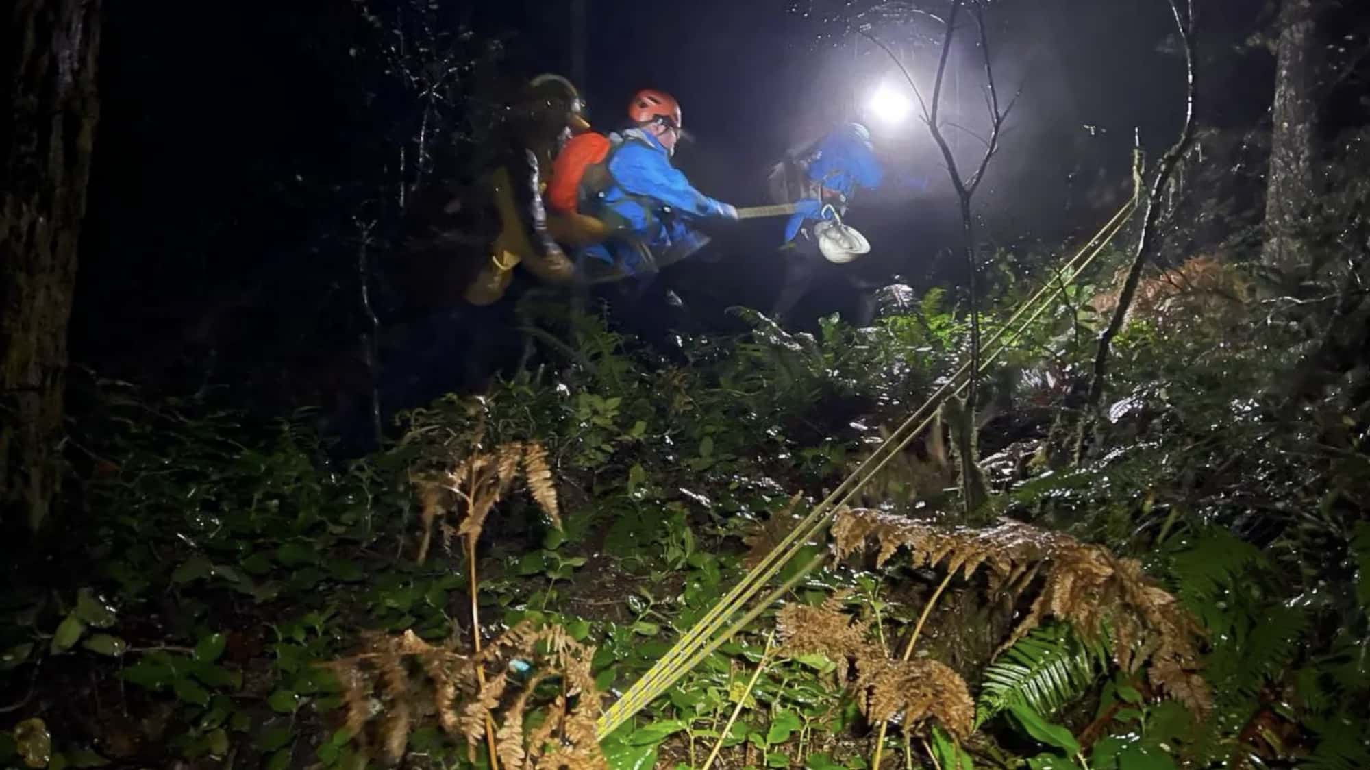 Rescue crews with headlamps moving through dense forest during a night search.