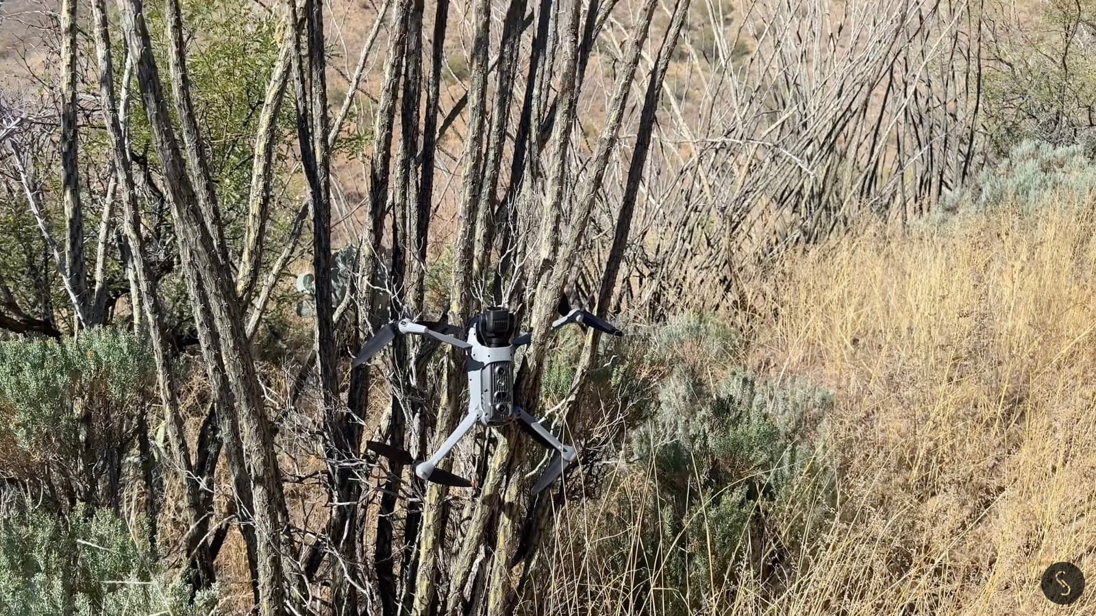 Drone caught in bare branches after obstacle sensors missed the thin twigs.