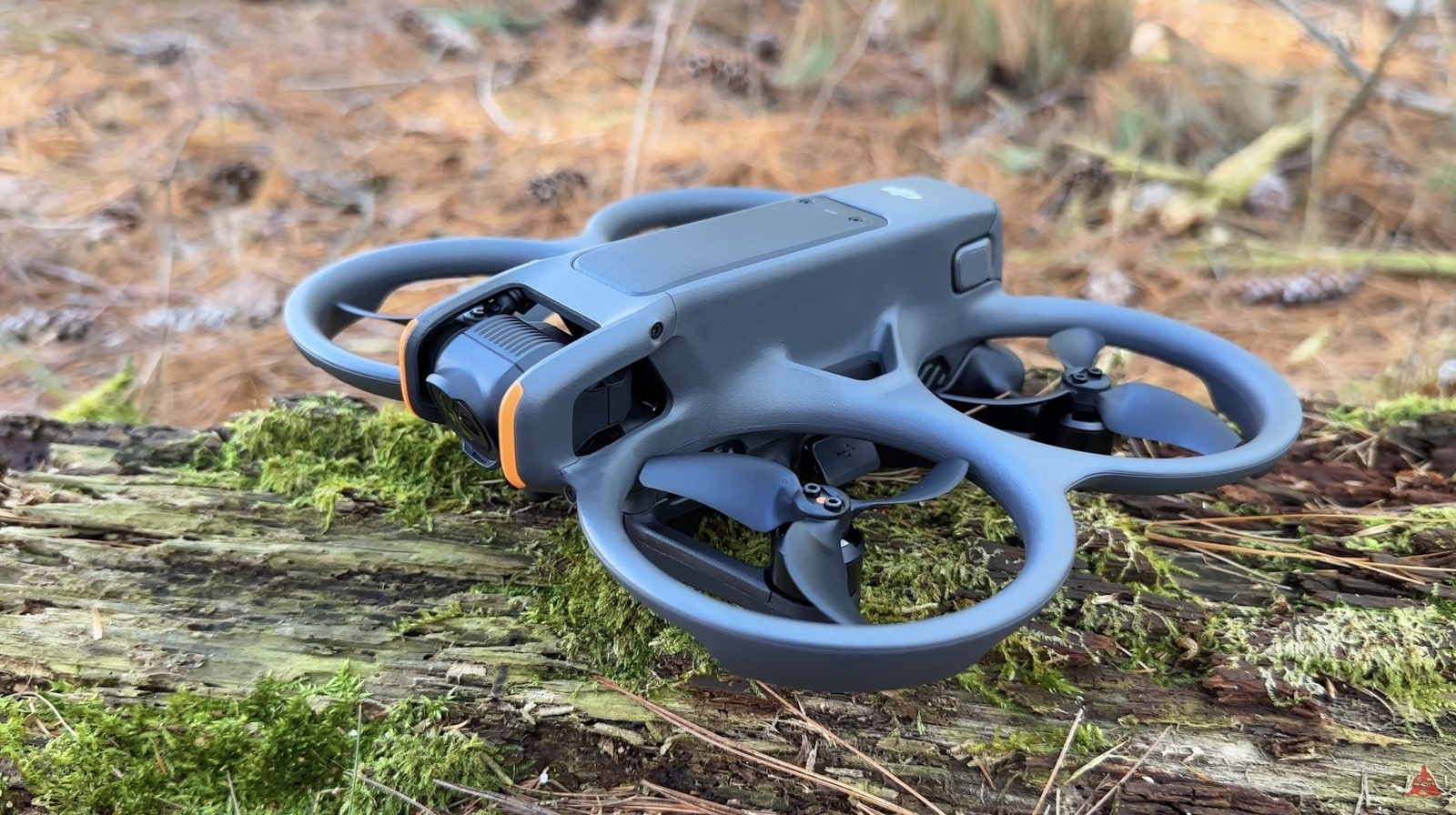 Ducted propeller guards that let the Avata 2 brush past branches safely.