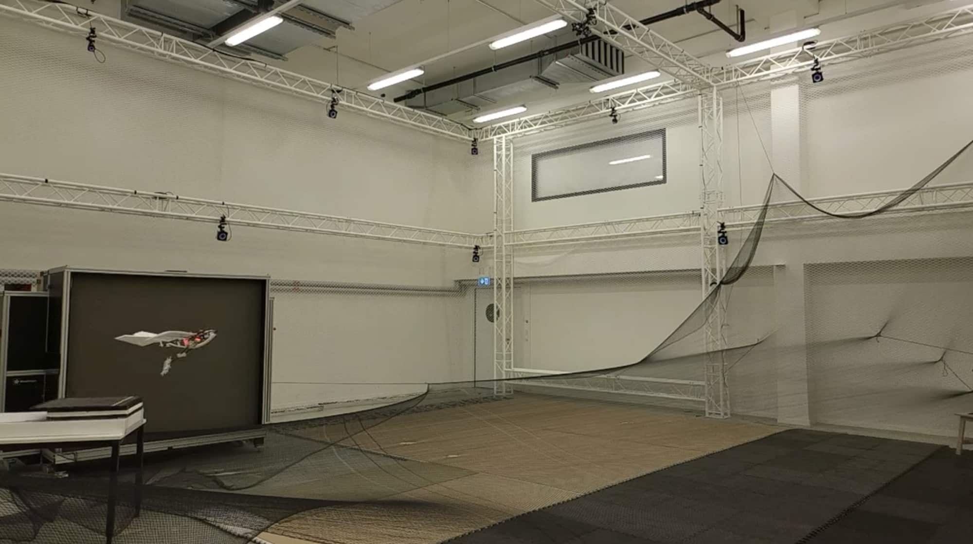 Bird-inspired fixed-wing prototype airborne inside a netted indoor test hall.