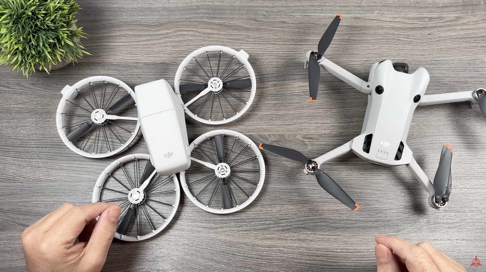 DJI Flip paired with a controller for O4 transmission and full Fly app access.
