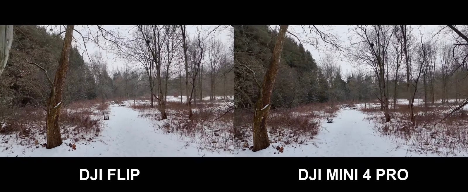 Split-screen frames of a snowy tree line labeled for each drone camera.