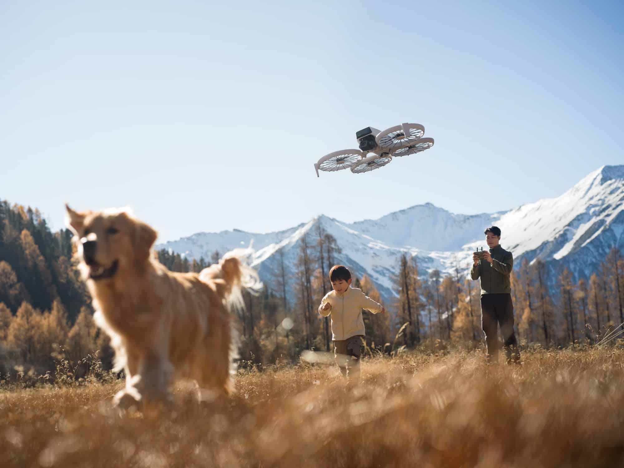 Golden retriever bounding through tall grass as the Flip films a boy running.