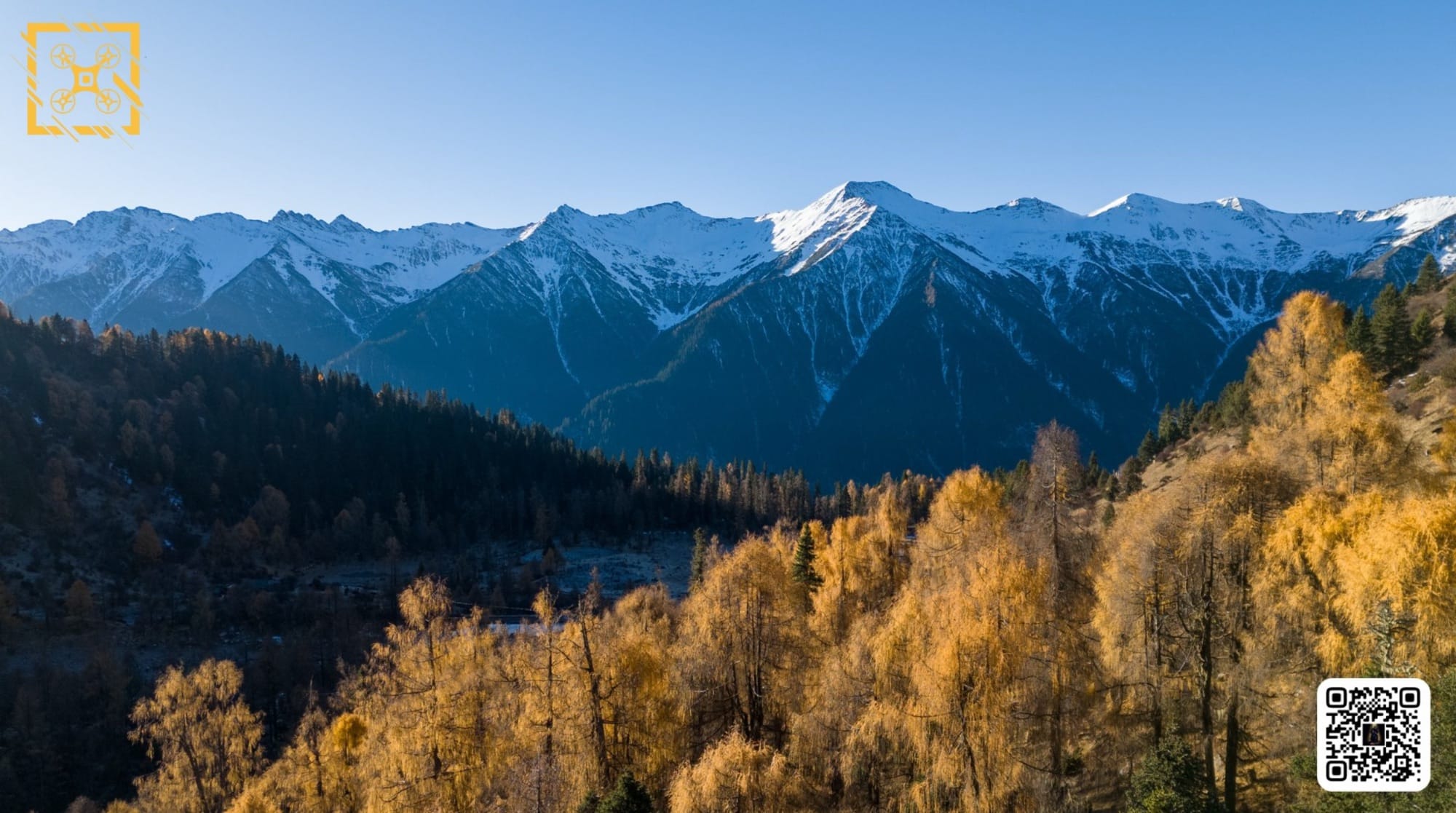 Sample photo of snow-capped peaks above golden larch forest with a corner watermark.