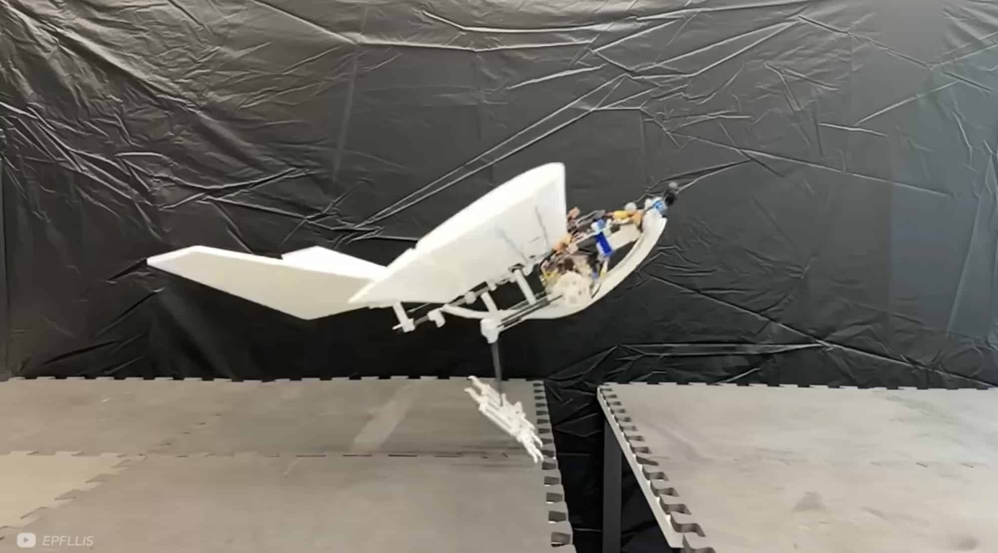 A white bird-inspired robot with morphing wings perches at the edge of a lab platform.