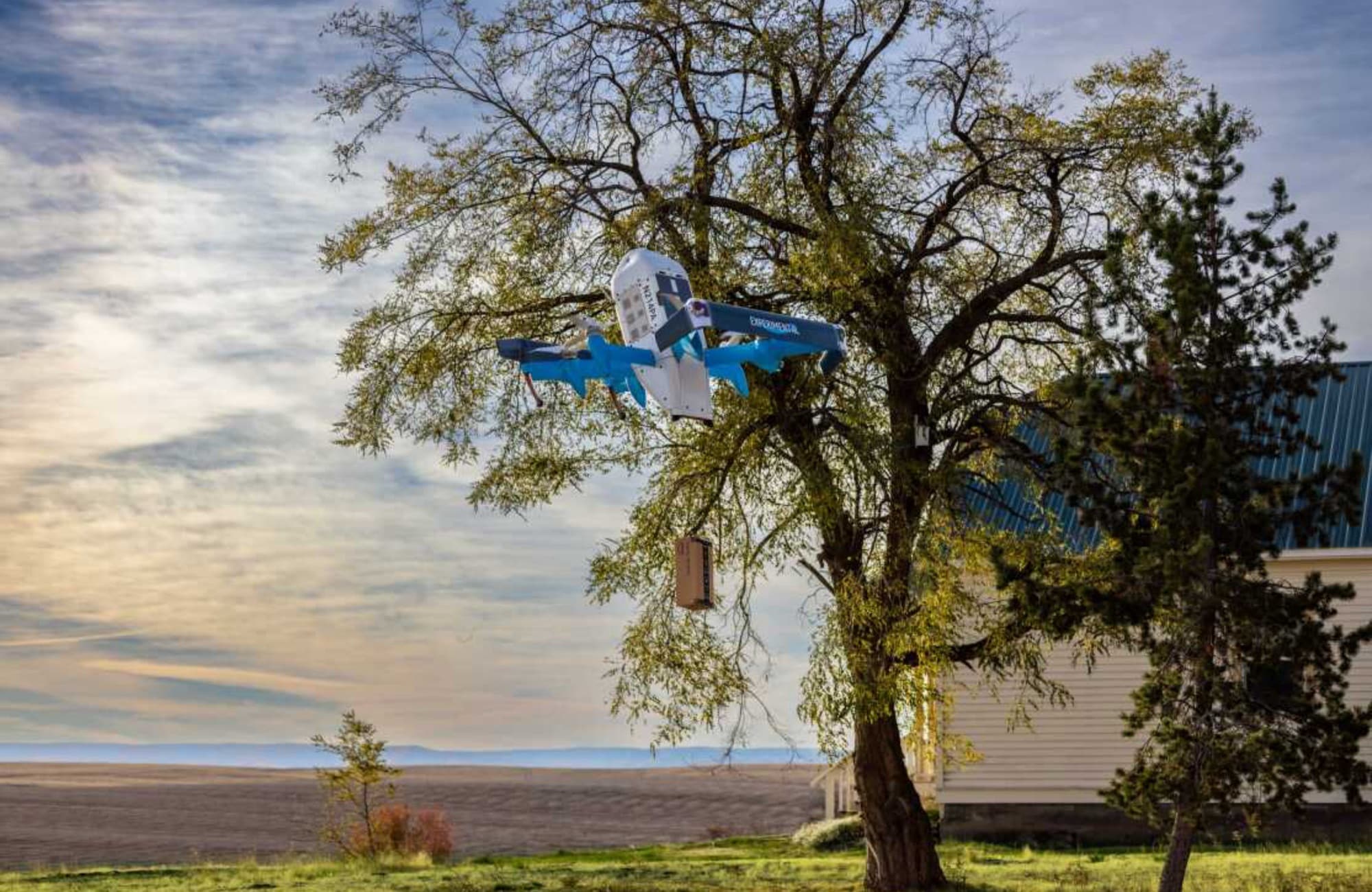 An Amazon Prime Air MK30 hovers beside a tree while lowering a package.
