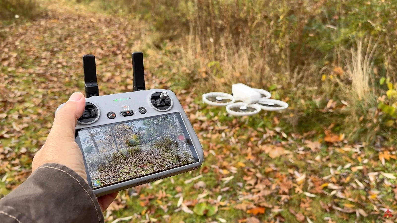 Hand holding a DJI RC 2 controller with a DJI Flip on autumn leaves.