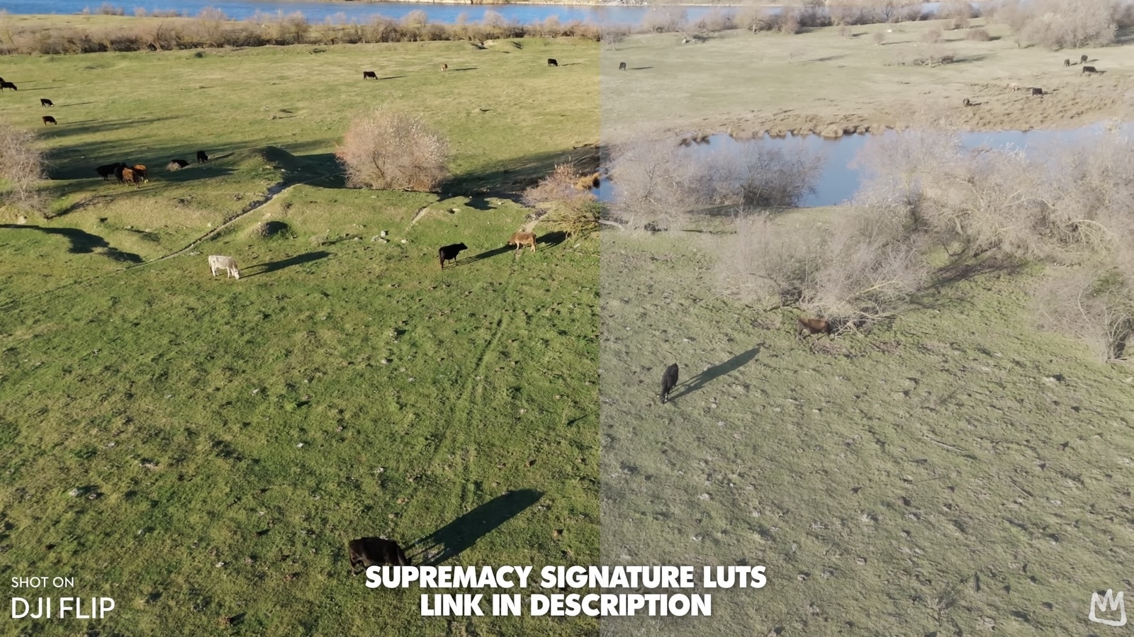 Split-frame pasture aerial contrasting ungraded footage with a signature LUT applied.