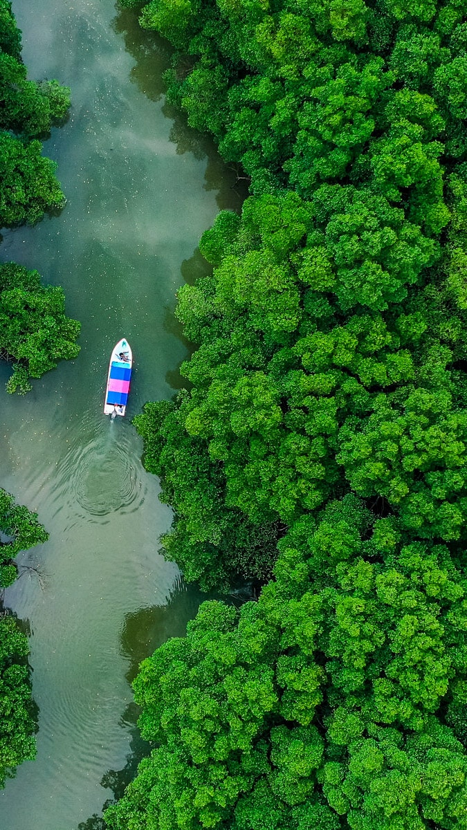 Cenital Shot of a Boat