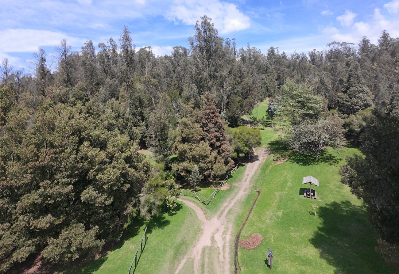 Metropolitan Park in Quito