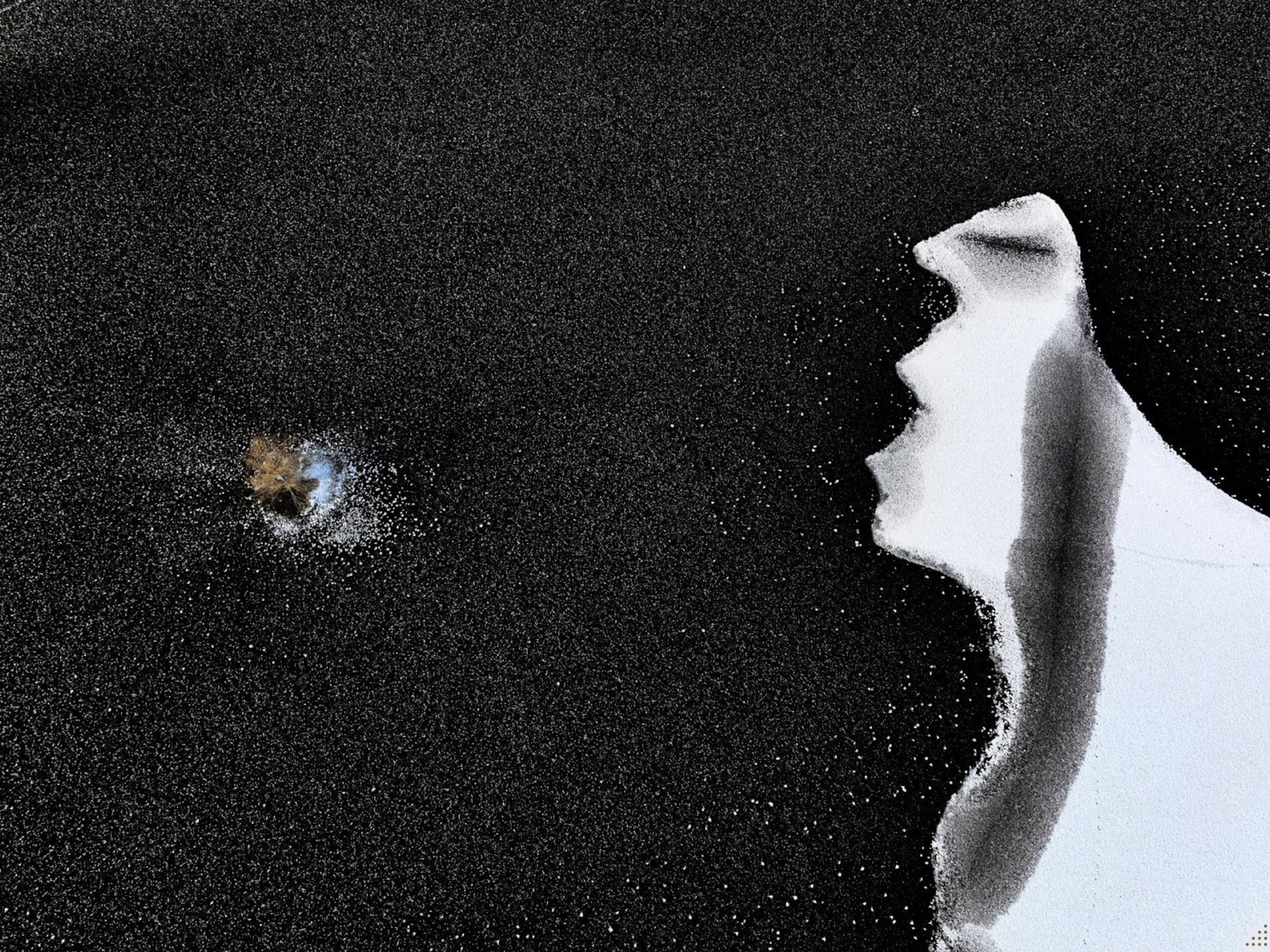 Black volcanic sand meets a curving snowfield in a stark overhead frame.