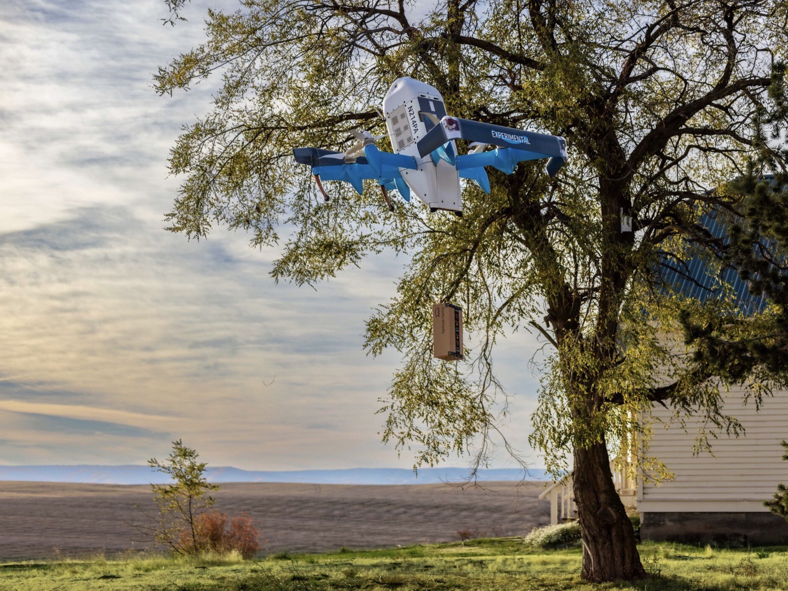 An Amazon Prime Air drone lowers a package beside a tree at a rural house.