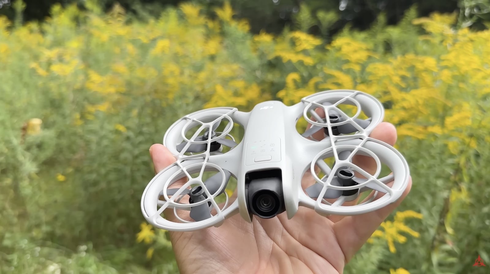 Palm holds the DJI Neo facing forward above a bank of goldenrod.