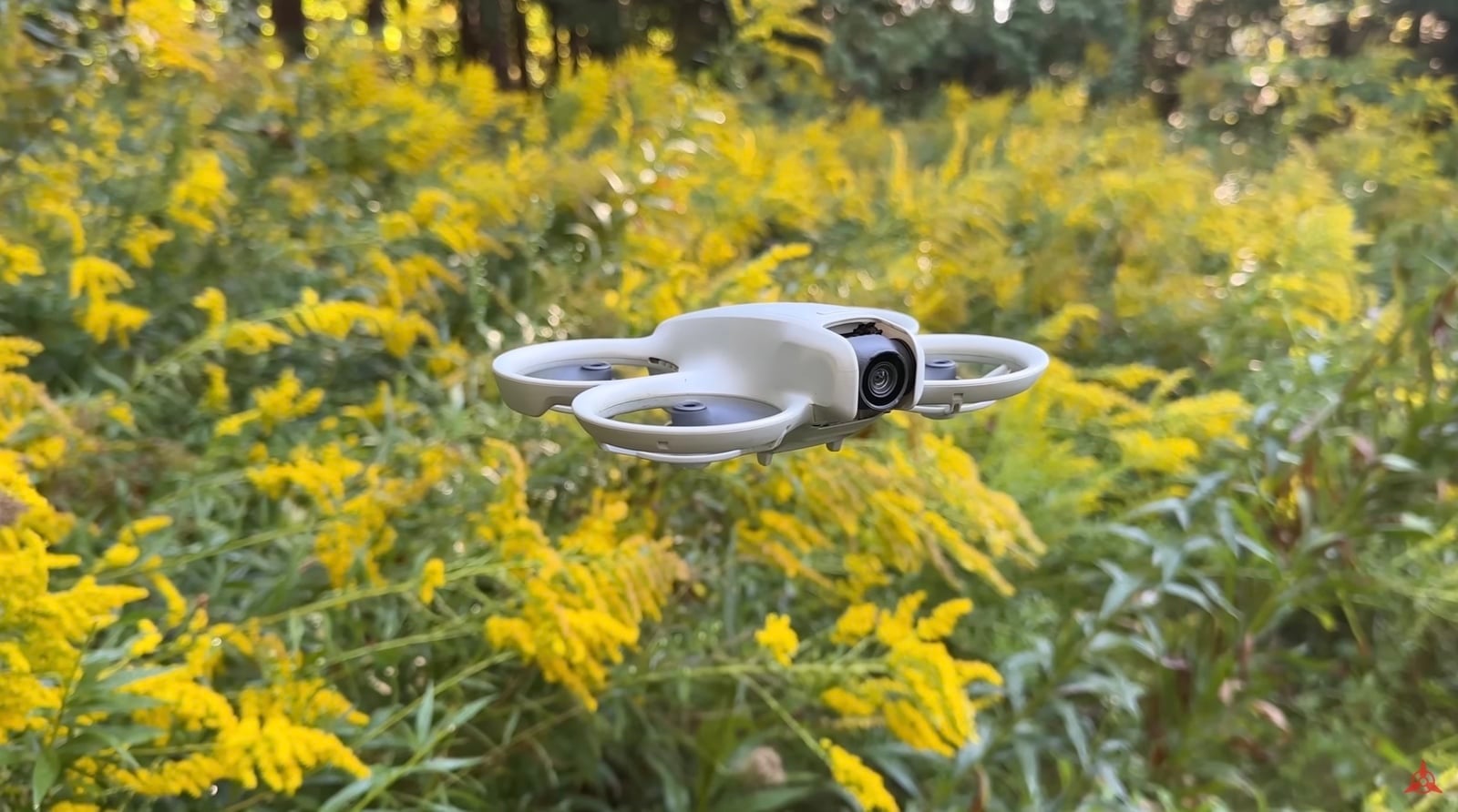 DJI Neo hovering just above yellow goldenrod blossoms.