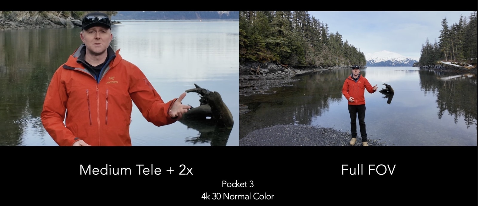 Split frame comparing medium telephoto with 2x against the full field of view.