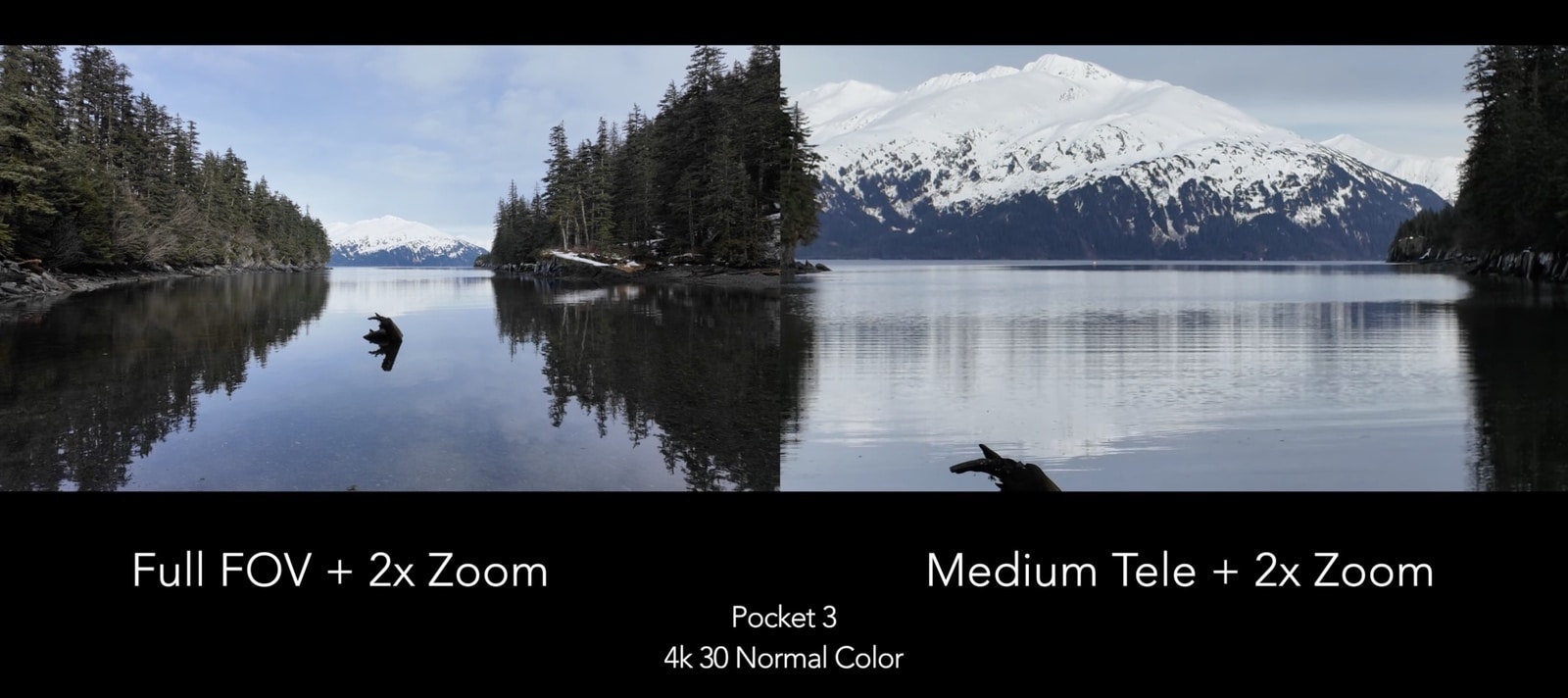 Split frame comparing full field with 2x zoom against medium telephoto zoom.