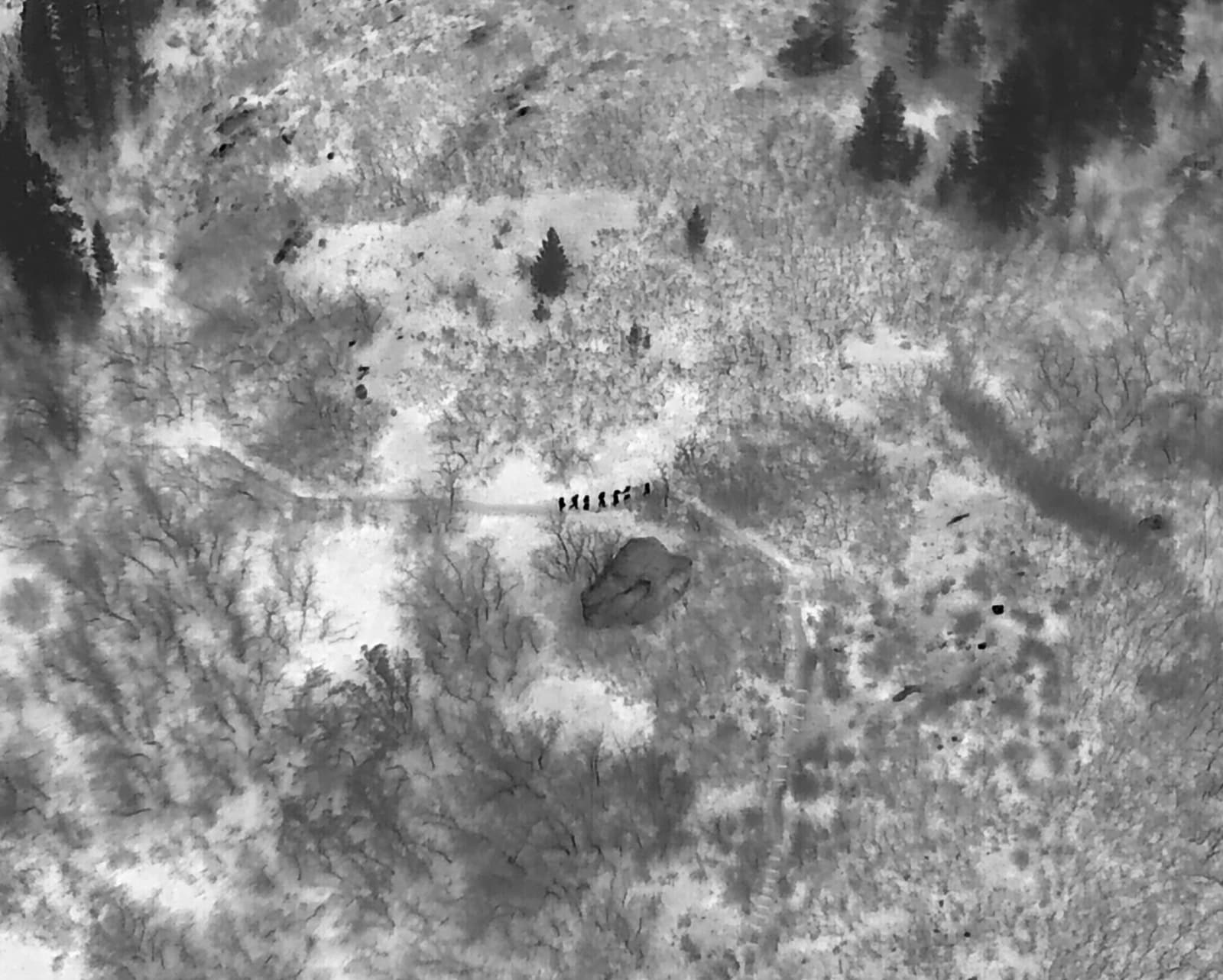Infrared drone view of forested hillside terrain during the nighttime search.