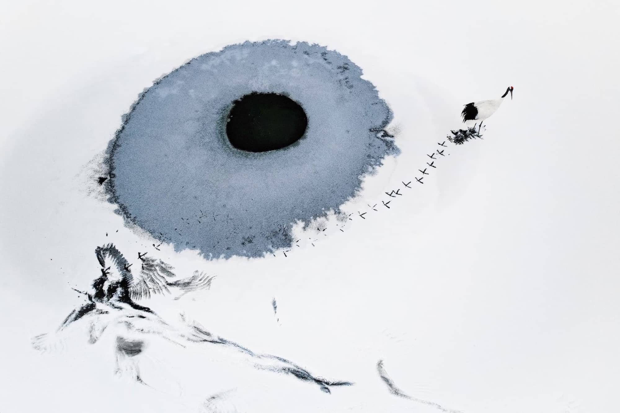 Aerial photo of a snow-ringed pond resembling an eye with bird tracks around it.