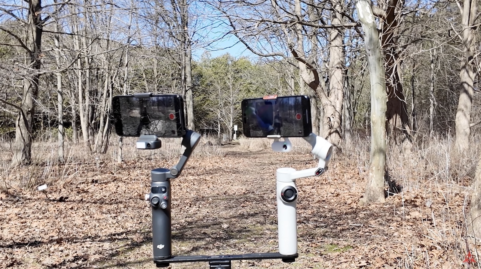 Two smartphone gimbals with phones mounted, standing side by side in bare woods.