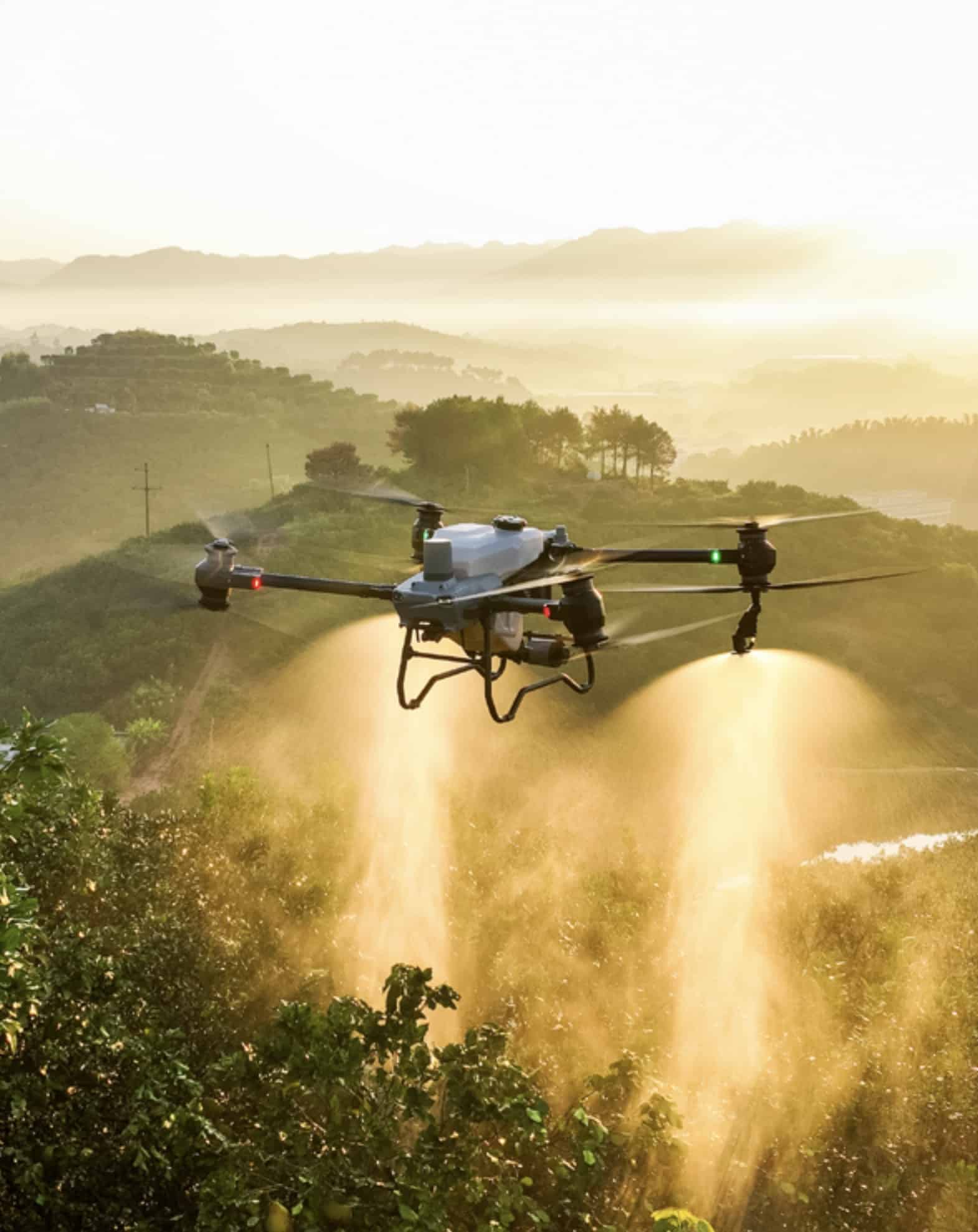Agricultural drone spraying over terraced hillside fields in golden light.
