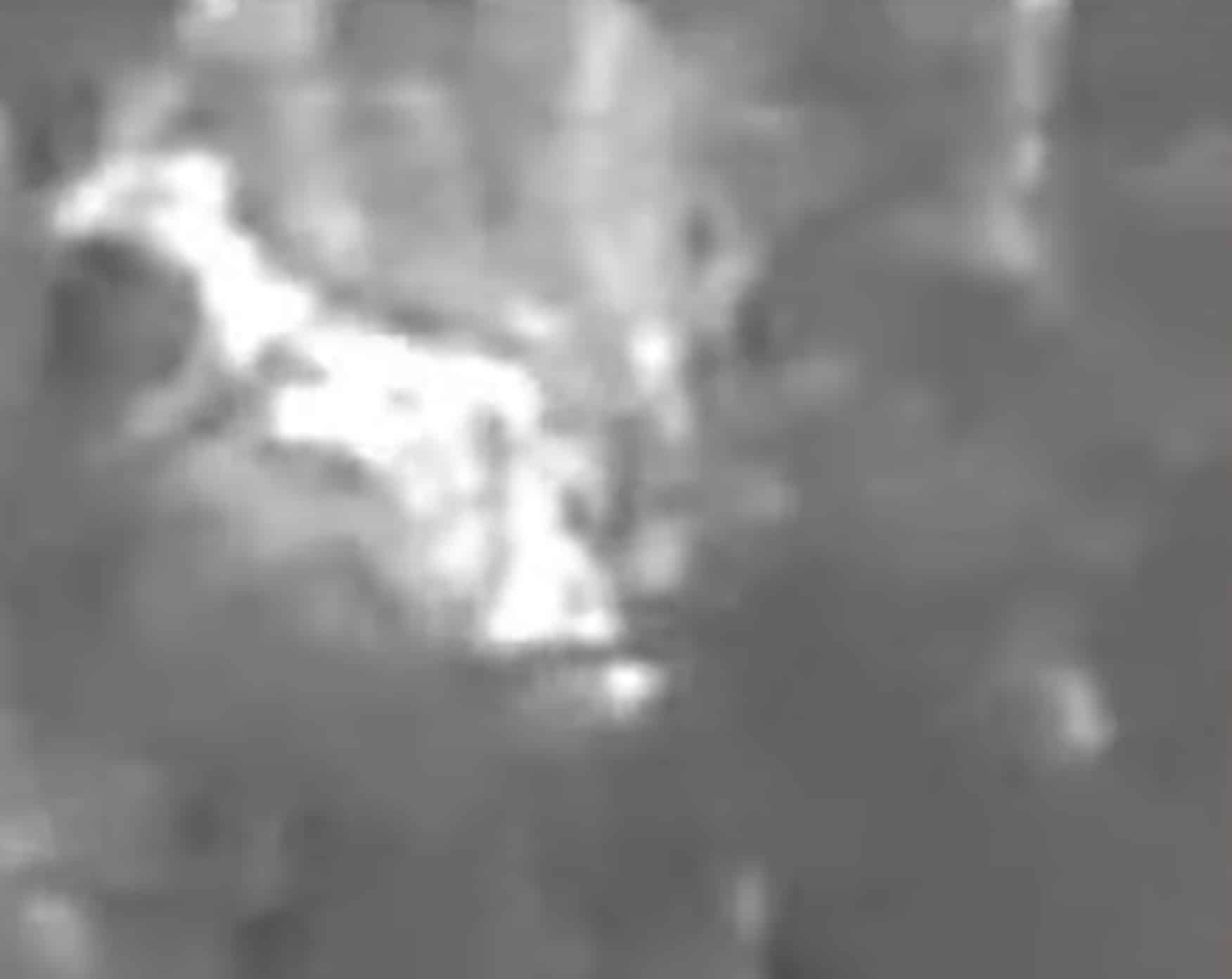 Thermal drone image showing a bright heat signature among dark woods.