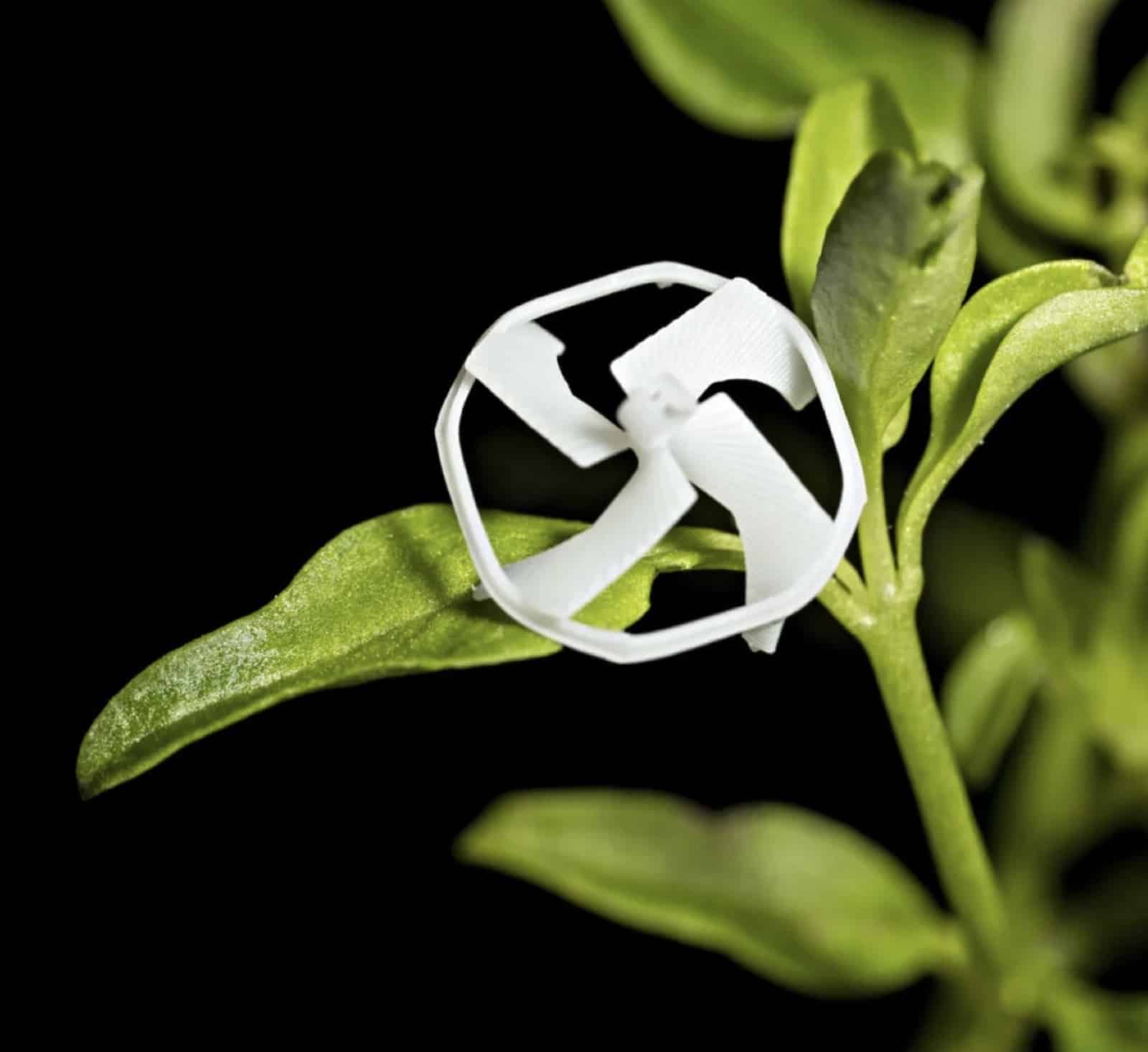 The 21-milligram Berkeley micro-drone perched on a green plant leaf.