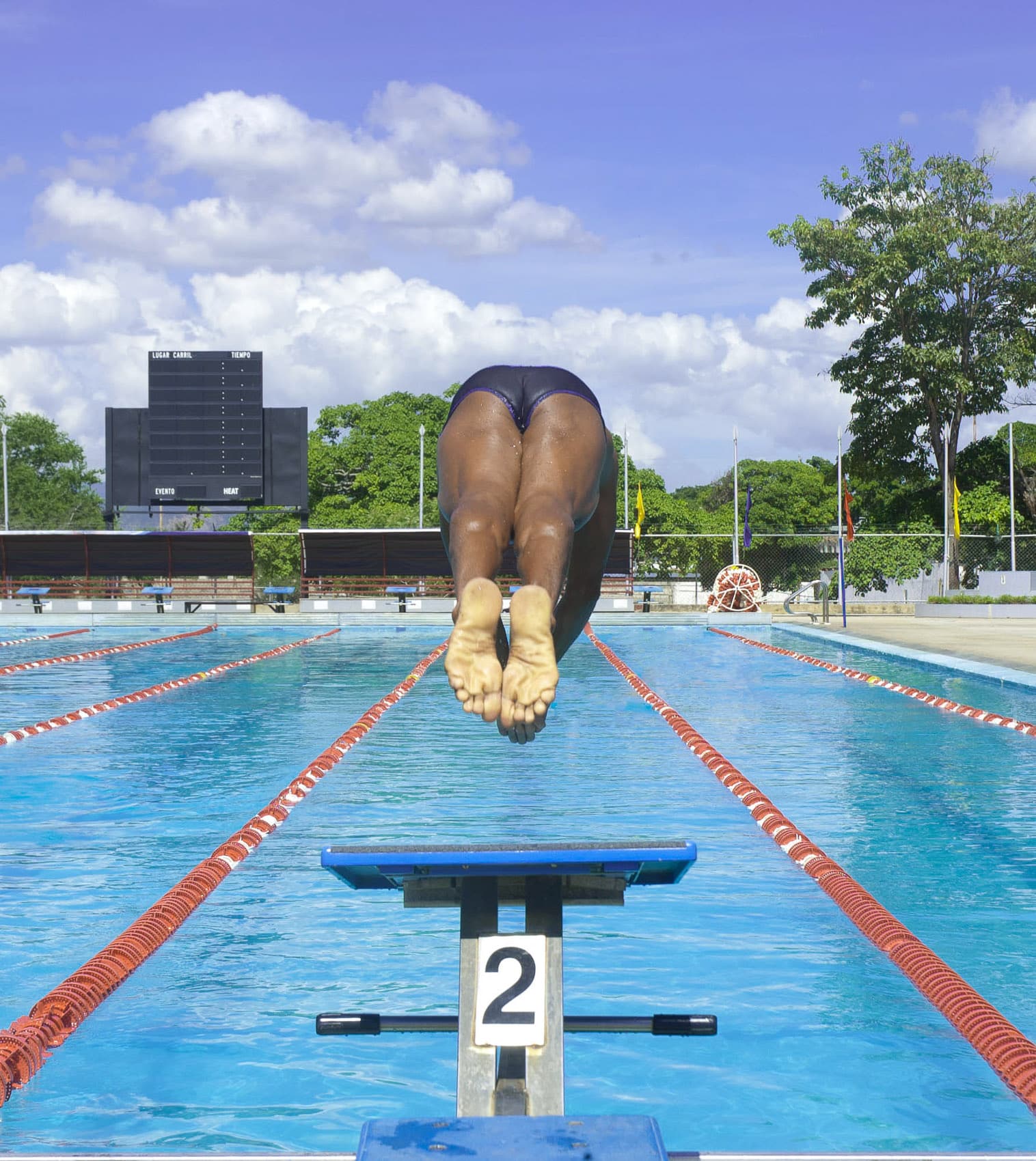 swimmer