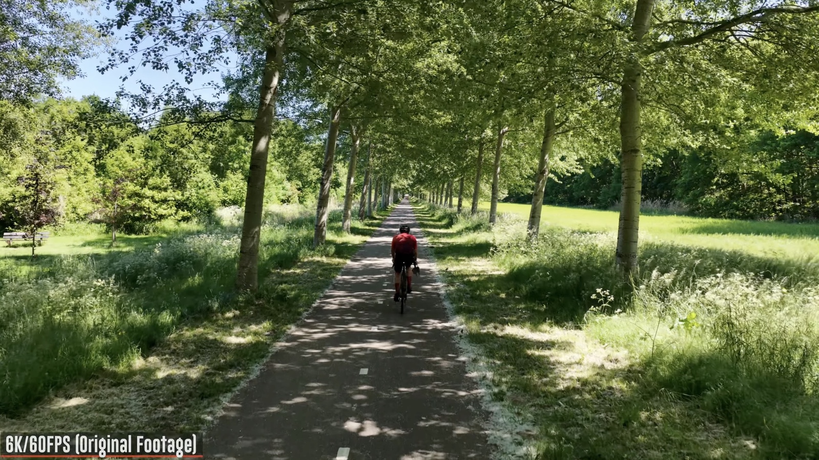 The drone working through the tree tunnel stage where a branch clipped it.