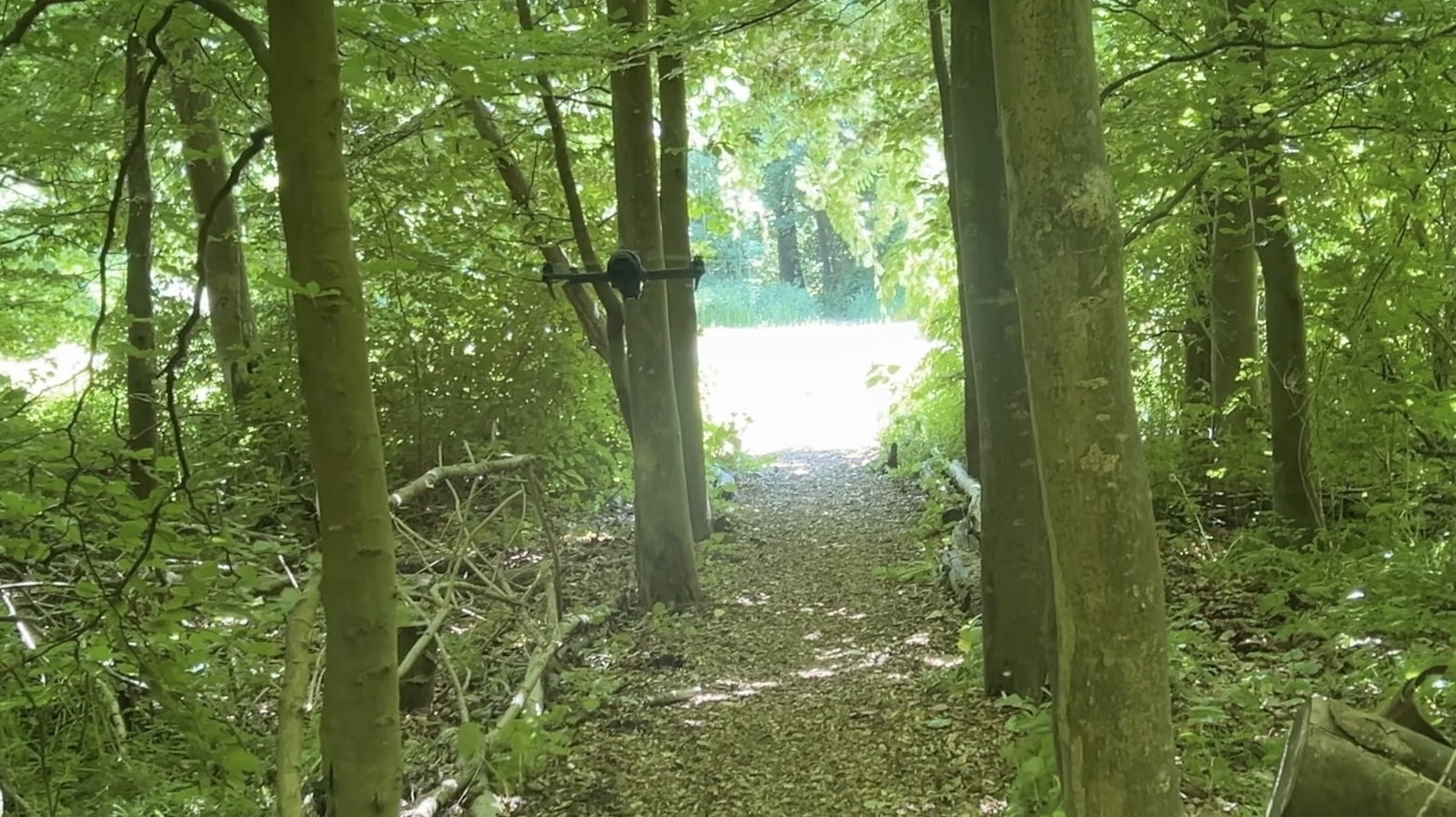 The drone back on ActiveTrack after slipping through a tight tree gap.