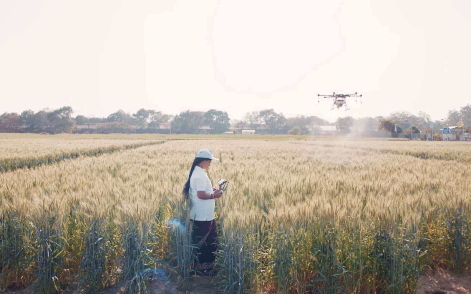 Woman piloting a spray drone above a wheat field with a handheld controller.