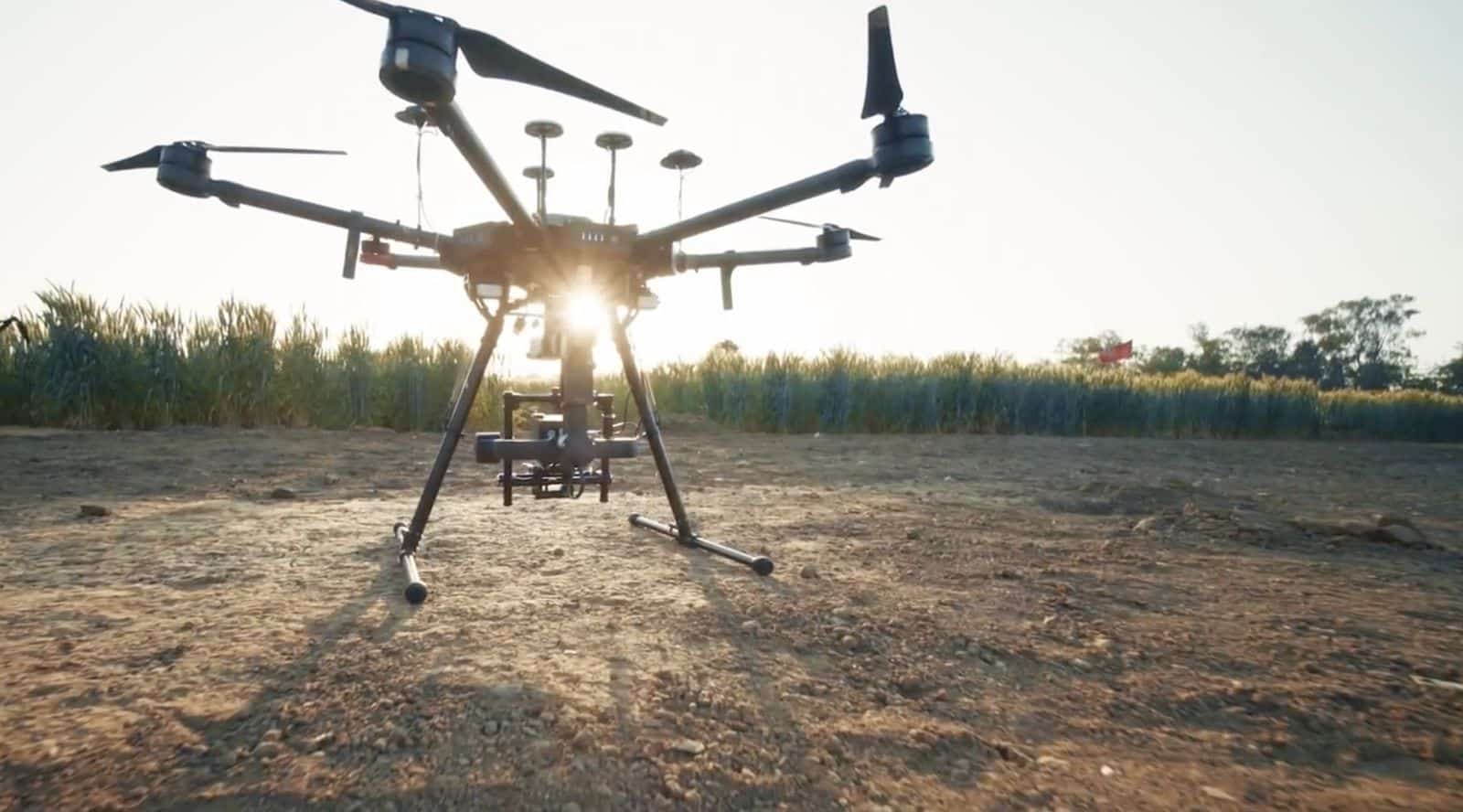 Backlit at sunrise, the spray hexacopter waits on bare soil beside a wheat crop.